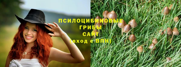 a pvp Алексеевка