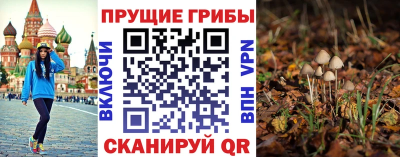 Псилоцибиновые грибы MAGIC MUSHROOMS Краснообск